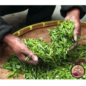 The Flavour Shop 11 The Flavour Shop. Tu tienda online de té, café, rooibos e infusiones Té Verde Japonés Genmaicha Matcha 1 kg