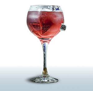 copa gin tonic botánico silvestre