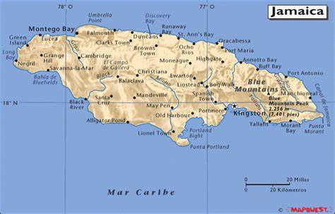 jamaica 2 The Flavour Shop. Tu tienda online de té, café, rooibos e infusiones Saboreaté y Café