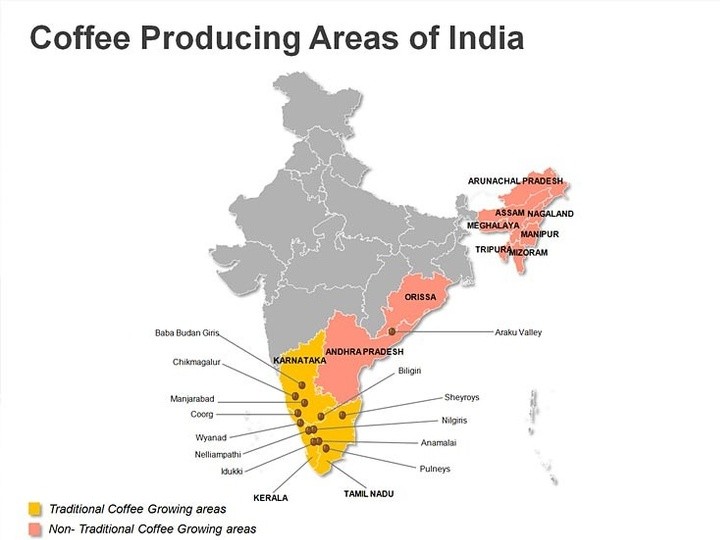 Cafés de Asia 1 The Flavour Shop. Tu tienda online de té, café, rooibos e infusiones zonas de la india cafeteras The Flavour Shop. Tu tienda online de té, café, rooibos e infusiones Saboreaté y Café
