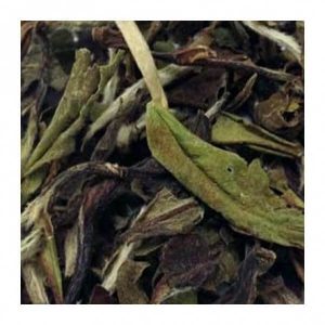 Té blanco pai mu tan 500 gramos